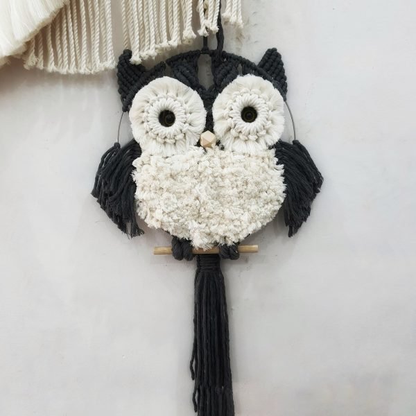 Cú Bông Xù Dễ Thương - Ảnh 3