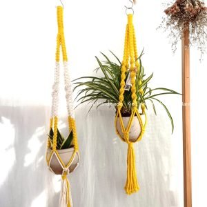 Dây Macrame treo chậu cây cảnh sắc màu.