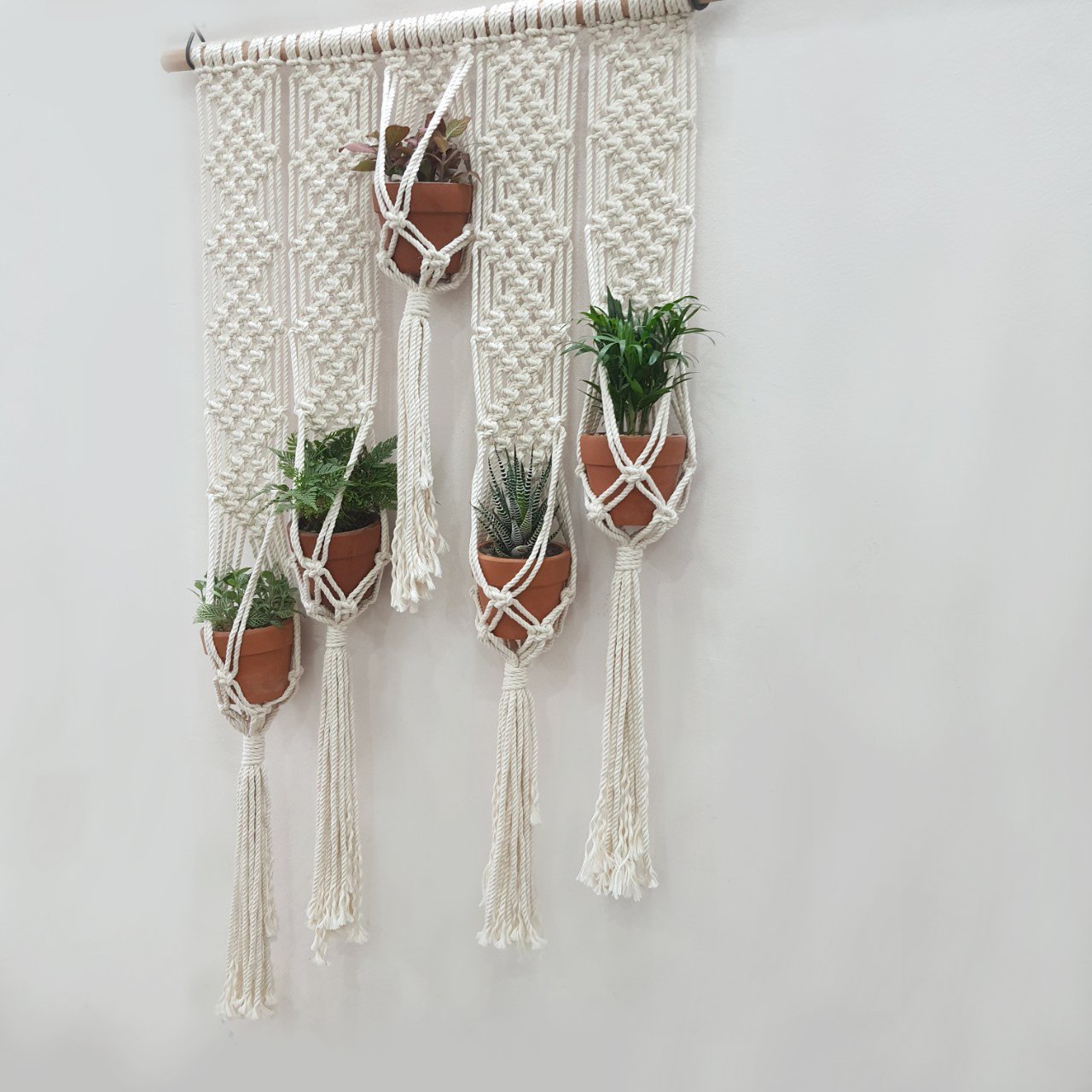 Set dây treo chậu macrame - Set 5 - Ảnh 3